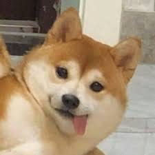 Rafael Fernandez avatar