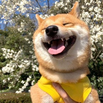 Cynthia Villar avatar